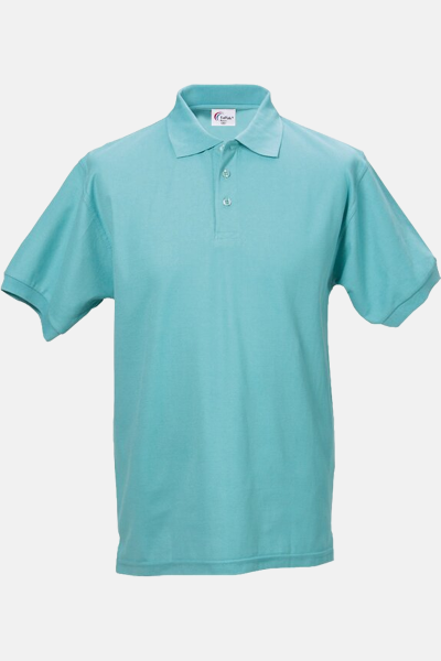 Poloshirt carestin, gerade geschnitten, Farbe:...