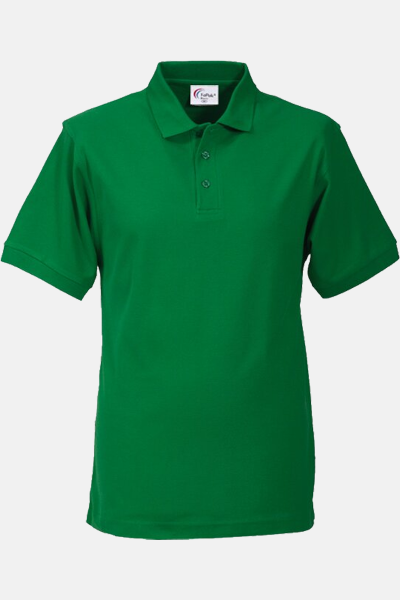 Poloshirt carestin, gerade geschnitten, Farbe: grün,...