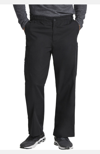 Herrenhose Sean von Dickies, Farbe: schwarz,...