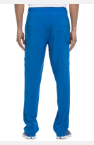 Herrenhose Andrew von Dickies royal-XXS