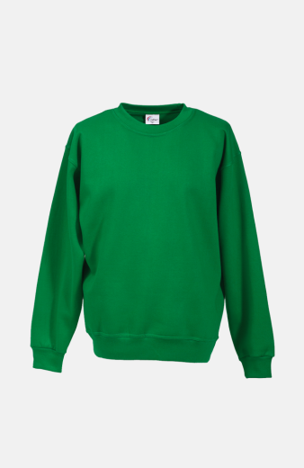 Sweatshirt carestin, Farbe: grün, Größe: L