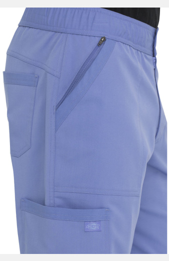 Hose Noah von Dickies, Farbe: hellblau, Größe: XXS