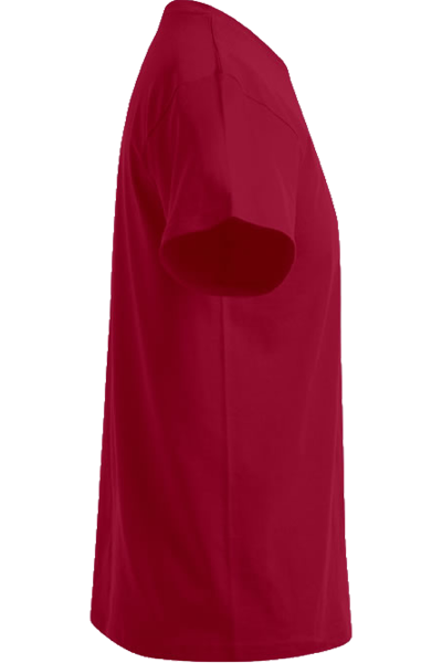 T-Shirt Kelan, gerade geschnitten, Farbe: berry,...