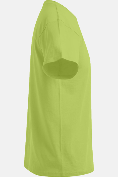 T-Shirt Kelan, gerade geschnitten, Farbe: apfelgrün,...