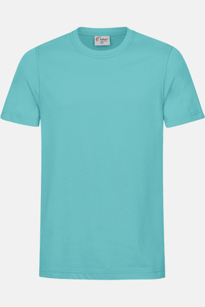 Herren T-Shirt Carestin, gerade geschnitten, Farbe:...